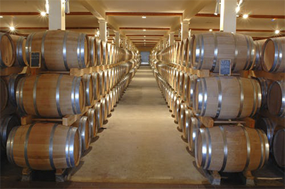 Las barricas en la bodega